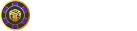 Playfina logo